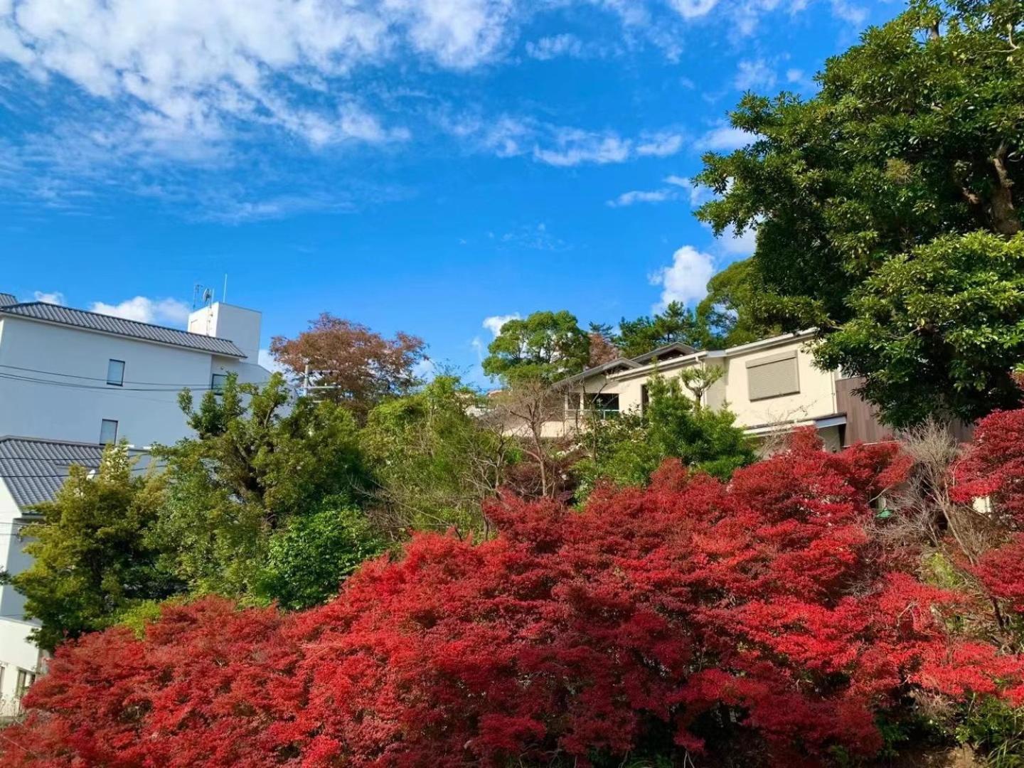雅竹miyabitake Hotel Miyakami Exterior photo